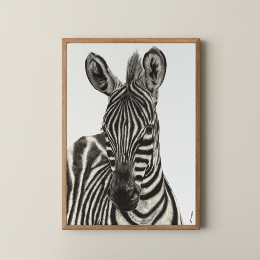 Print | Zebra