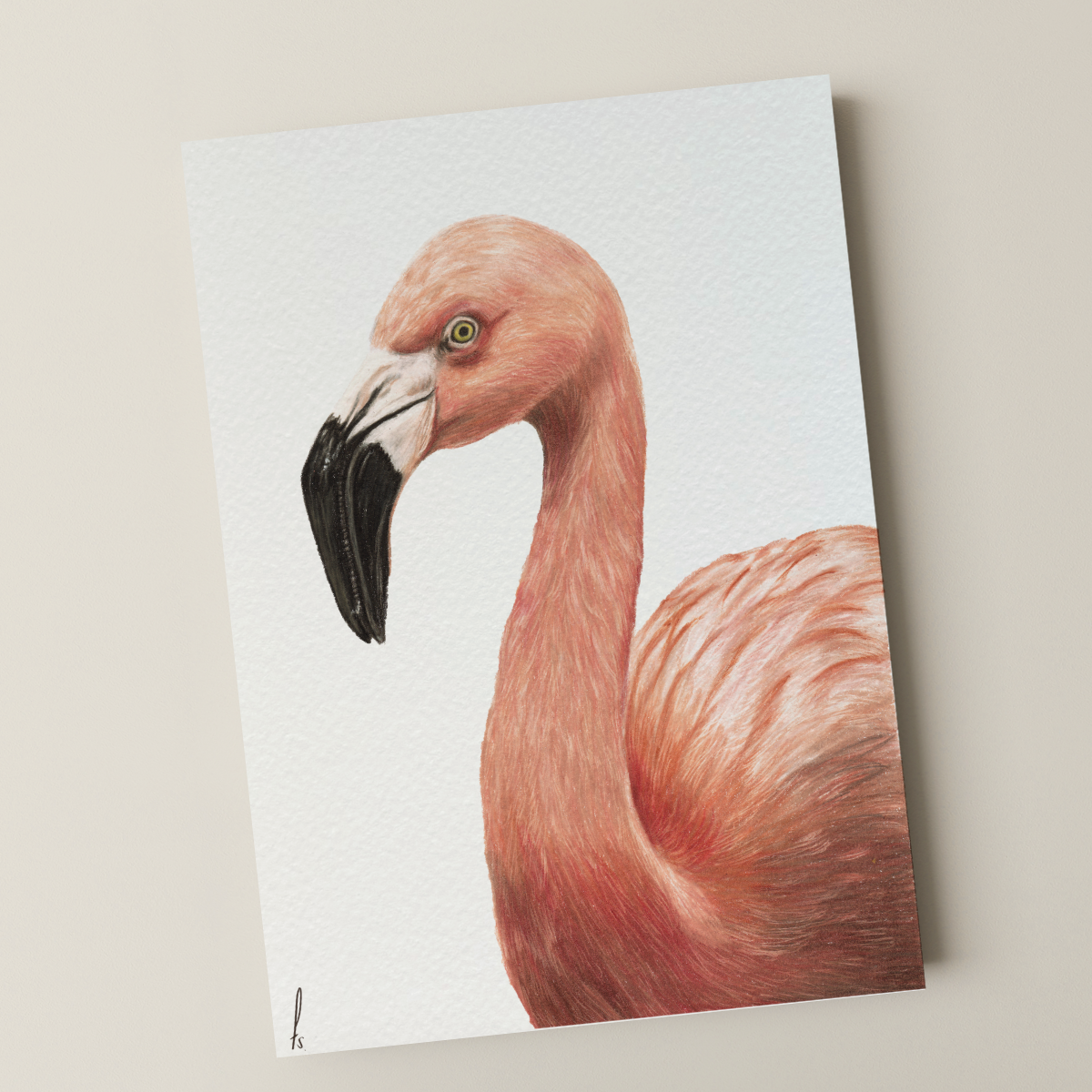 Print | Flamingo