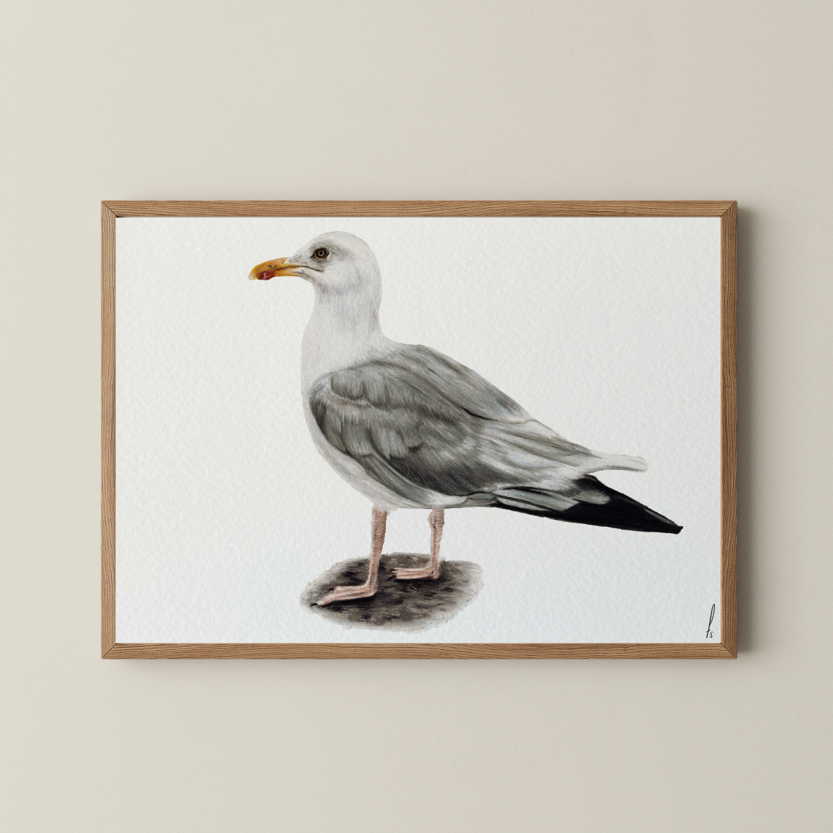 Print | Meeuw