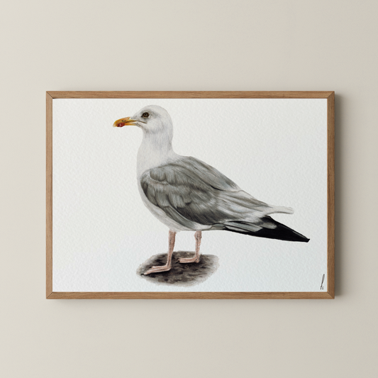 Print | Meeuw