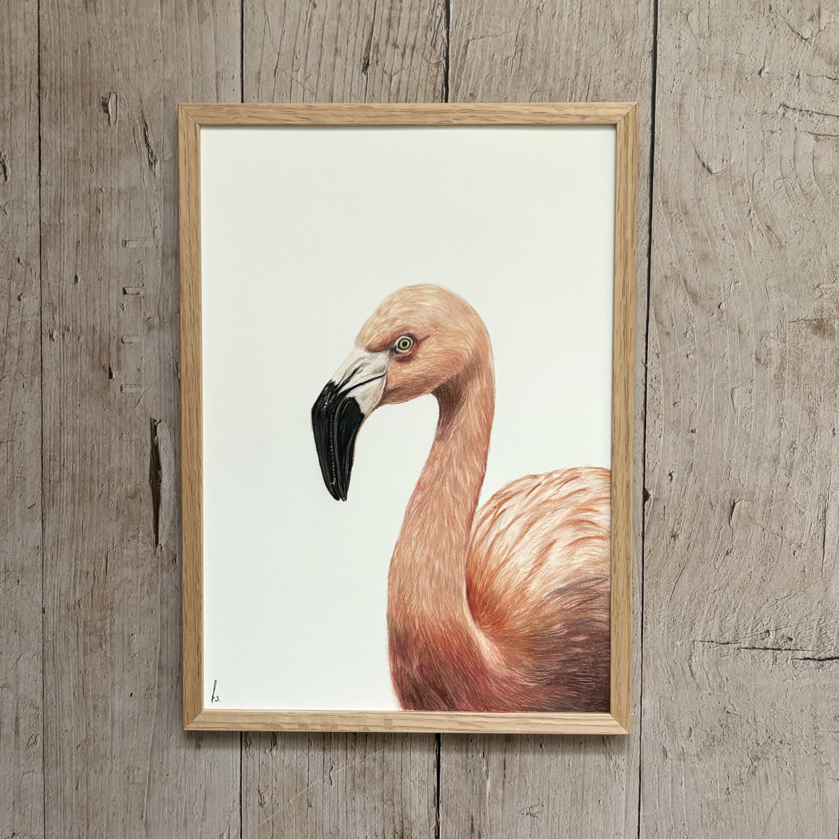 Originele tekening | Flamingo