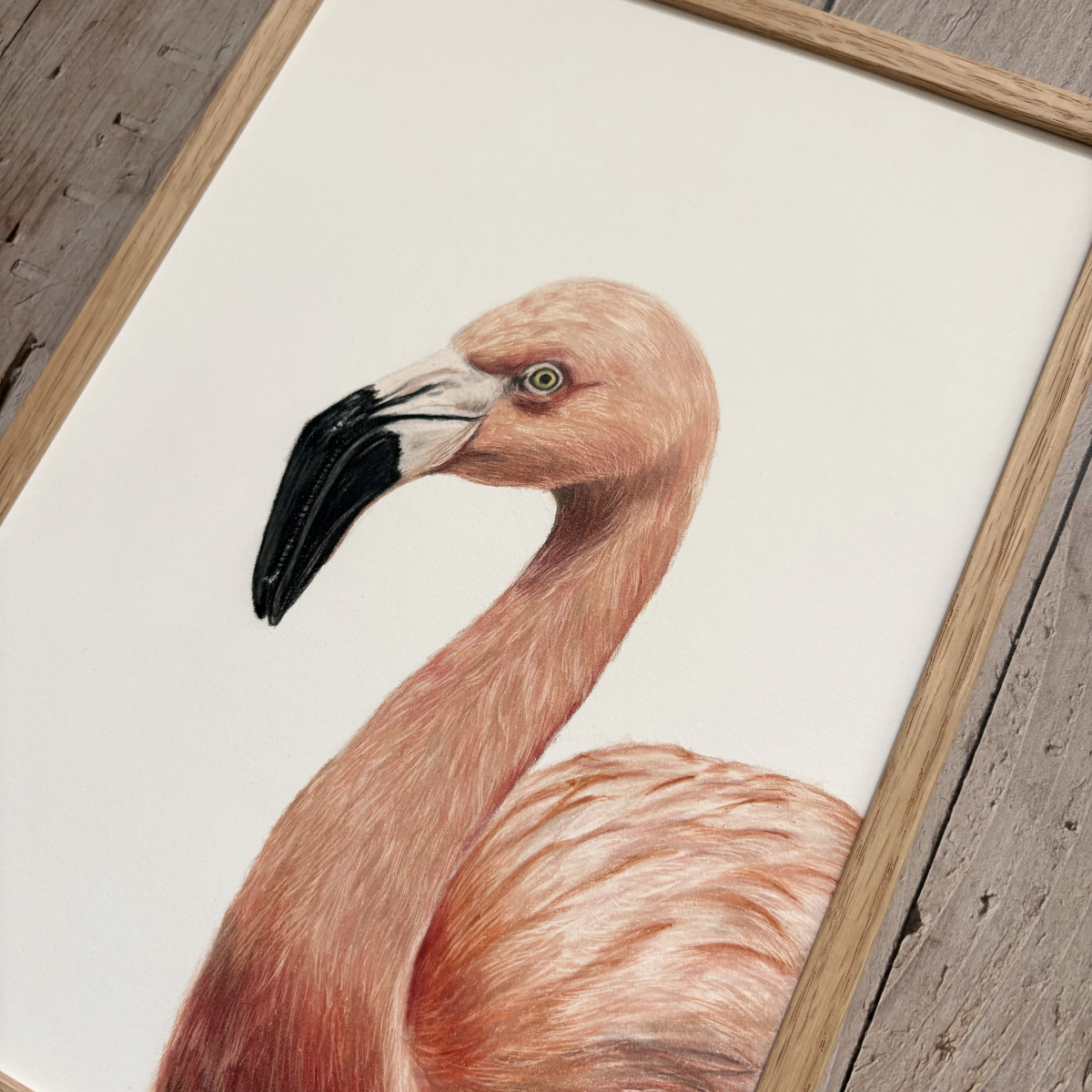 Originele tekening | Flamingo