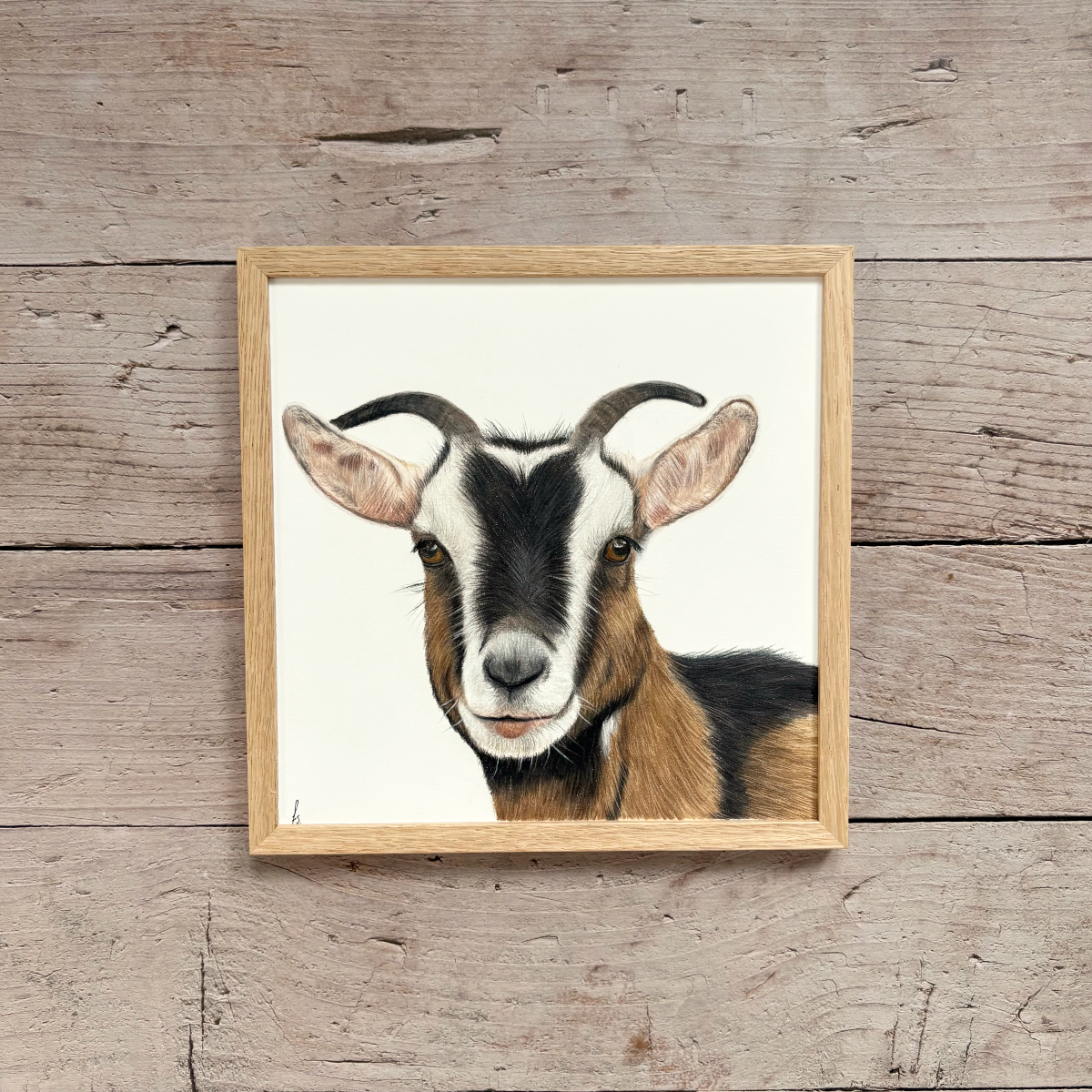Originele tekening | Geit