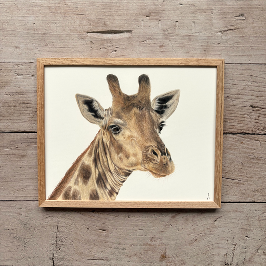 Originele tekening | Giraffe