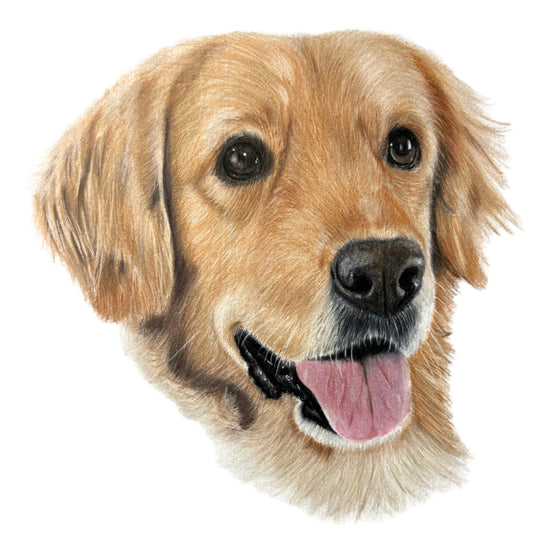 Tutorial | Golden Retriever