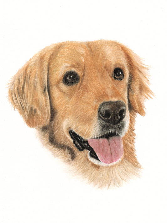 Tutorial | Golden Retriever