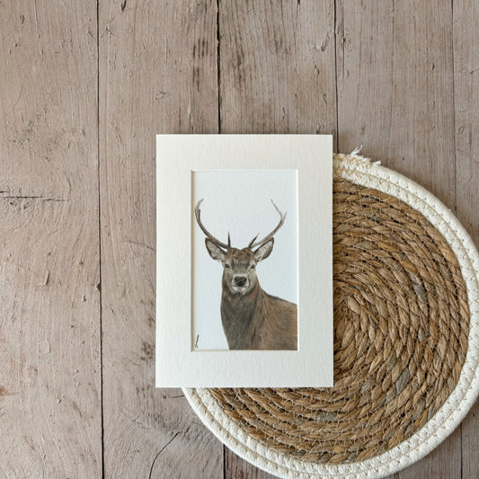 Print | Stag