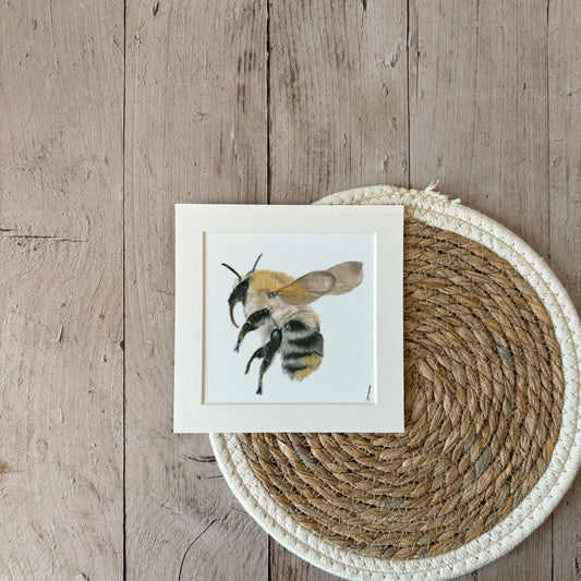 Print | Bumblebee