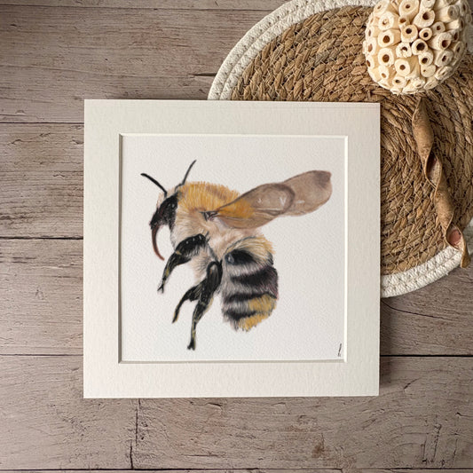 Print | Hommel