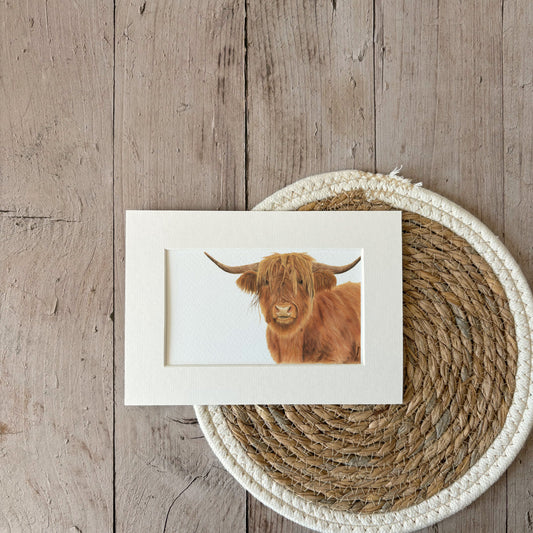 Print | Highland cow