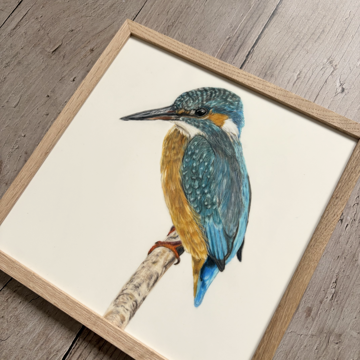 Originele tekening | IJsvogel