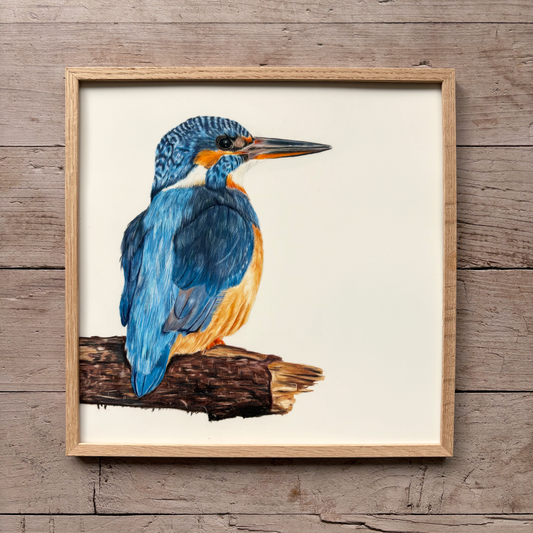 Originele tekening | IJsvogel op hout