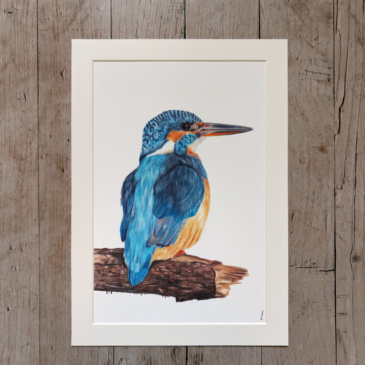 Print | Kingfisher on branch