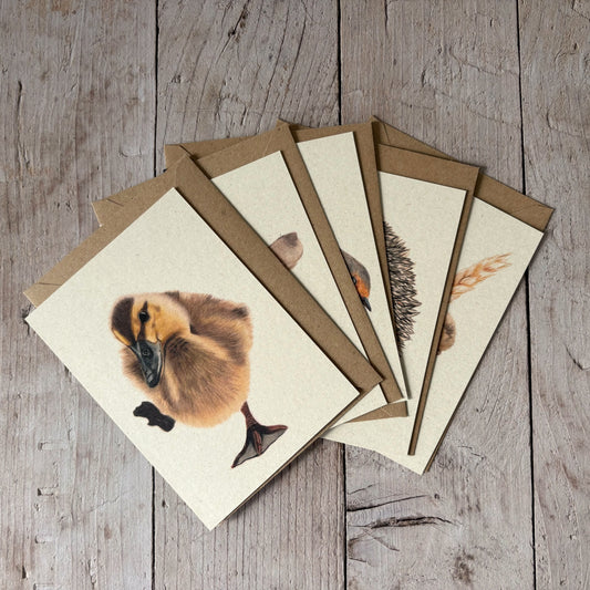 Kaarten set | Lief & klein | 5 kaarten