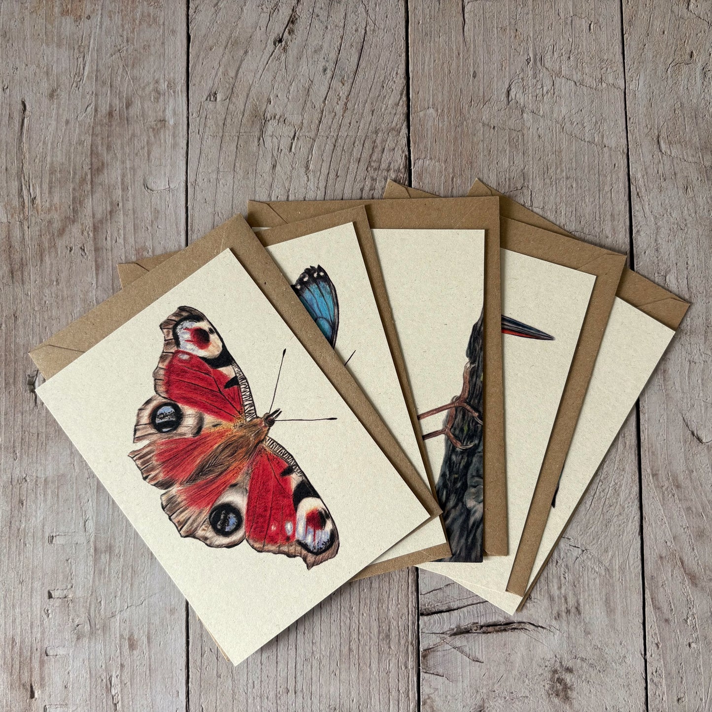 Kaarten set | Kleurrijk | 5 kaarten