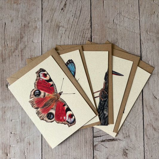 Kaarten set | Kleurrijk | 5 kaarten