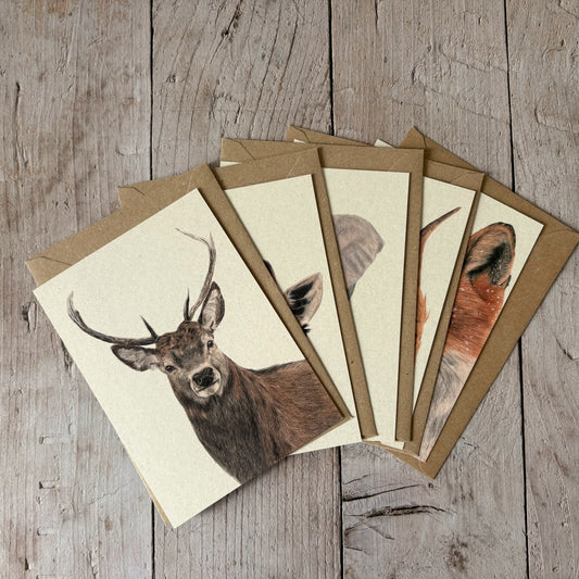 Kaarten set | Wilde dieren | 5 kaarten