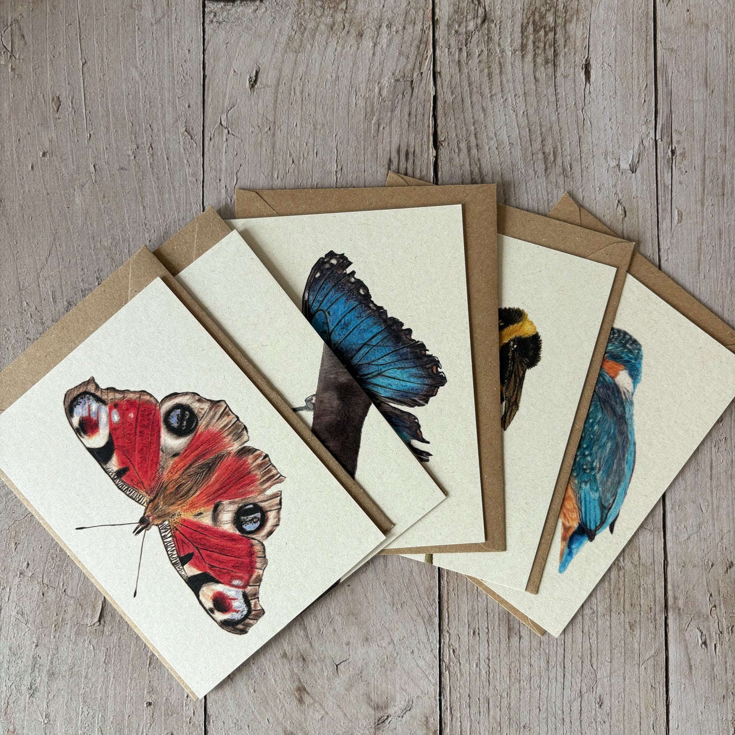 Kaarten set | Kleurrijk | 5 kaarten