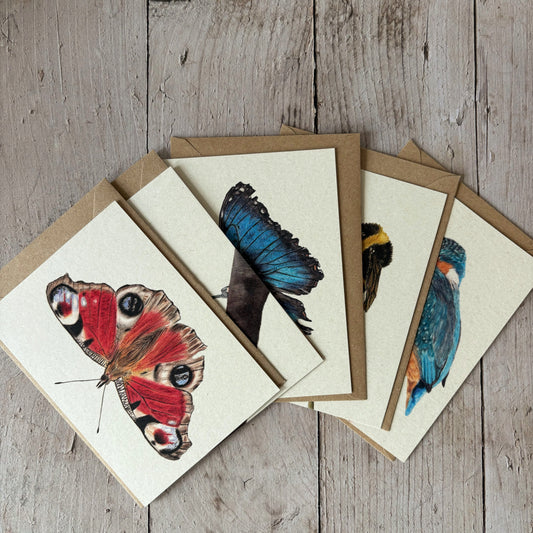 Kaarten set | Kleurrijk | 5 kaarten