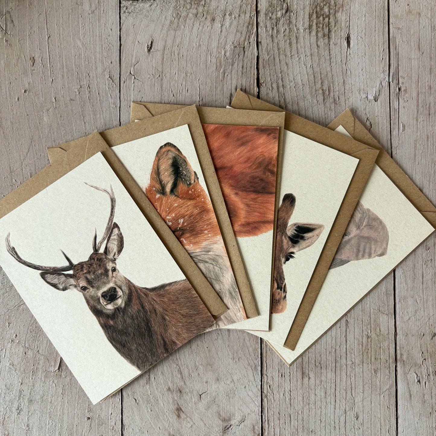 Kaarten set | Wilde dieren | 5 kaarten