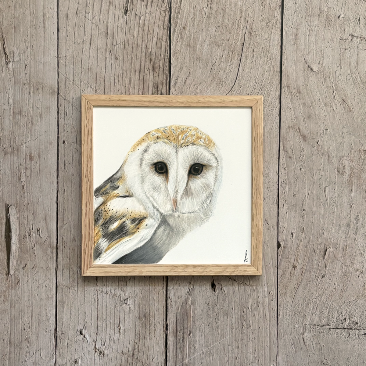 Originele tekening | Kerkuil