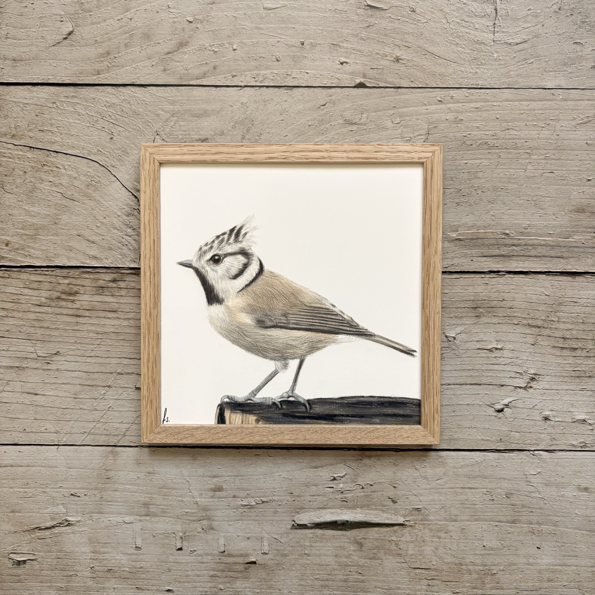 Originele tekening | Kuifmees