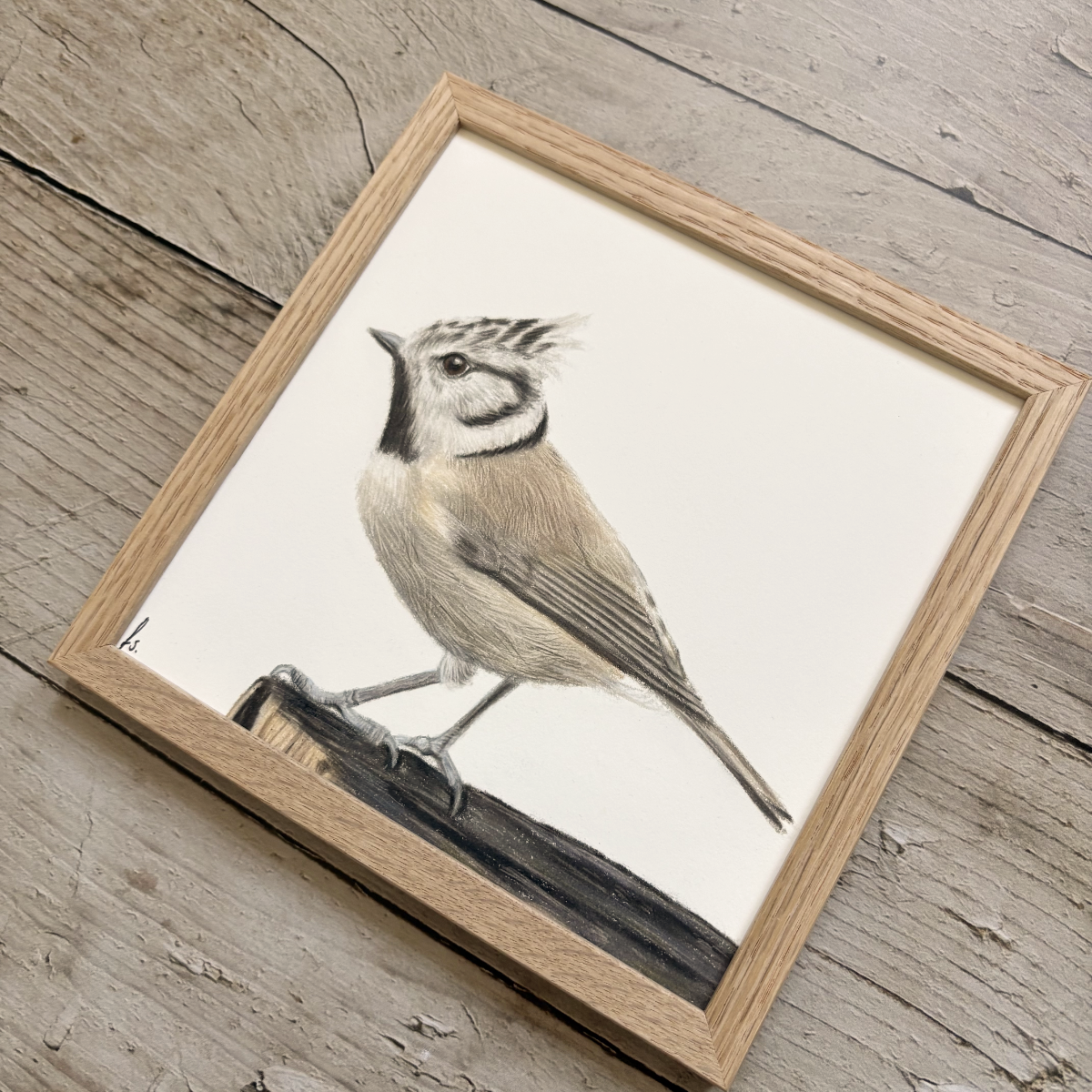 Originele tekening | Kuifmees