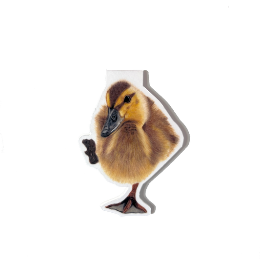 Wholesale | Magnetische boekenlegger | Eendje