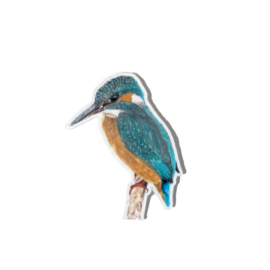 Magnetische boekenlegger | IJsvogel