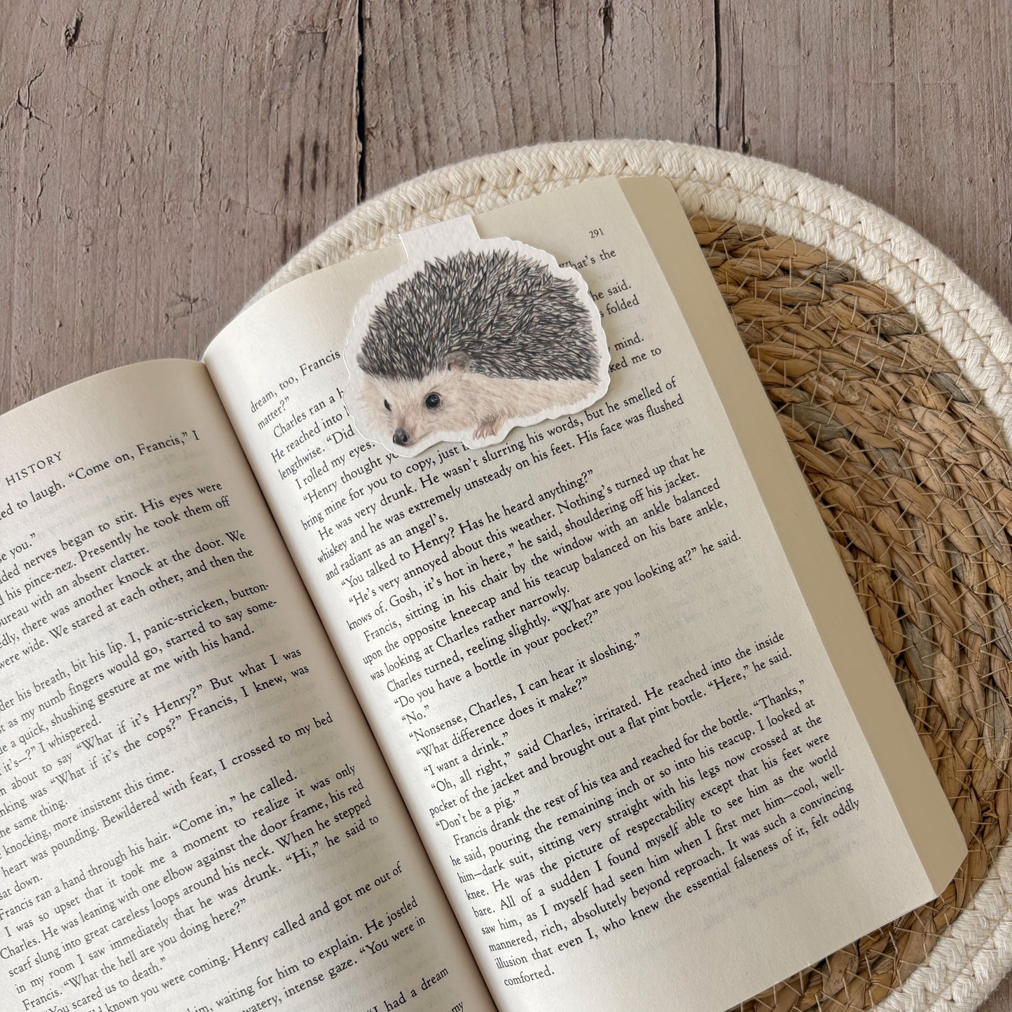 Magnetic bookmark | Hedgehog