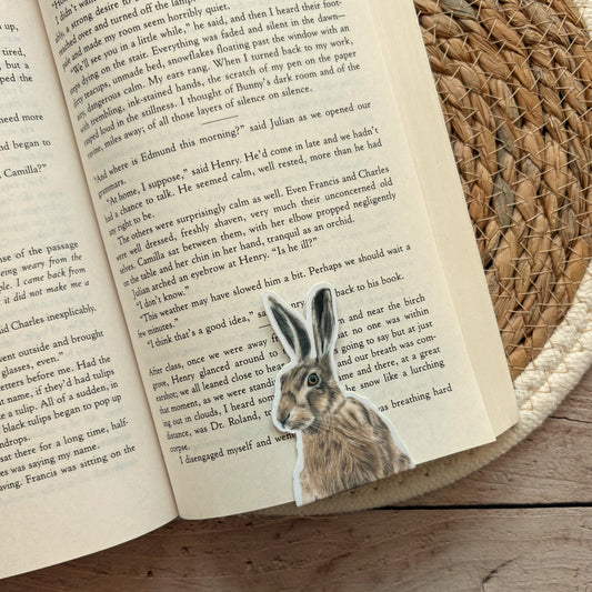 Magnetische Boekenlegger | Haas