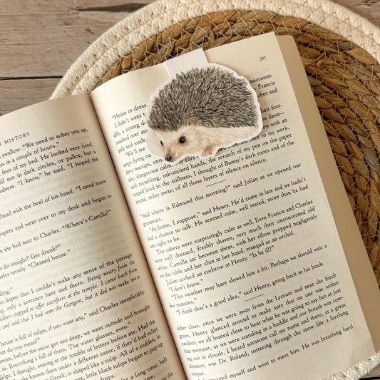 Magnetische Boekenlegger | Egel