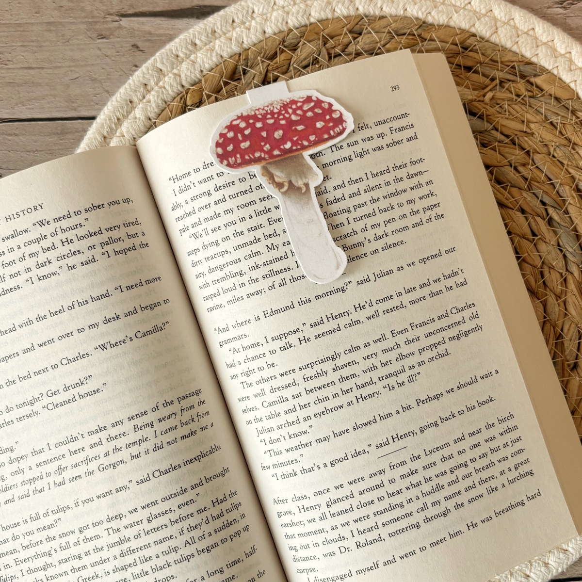 Magnetische Boekenlegger | Vliegenzwam