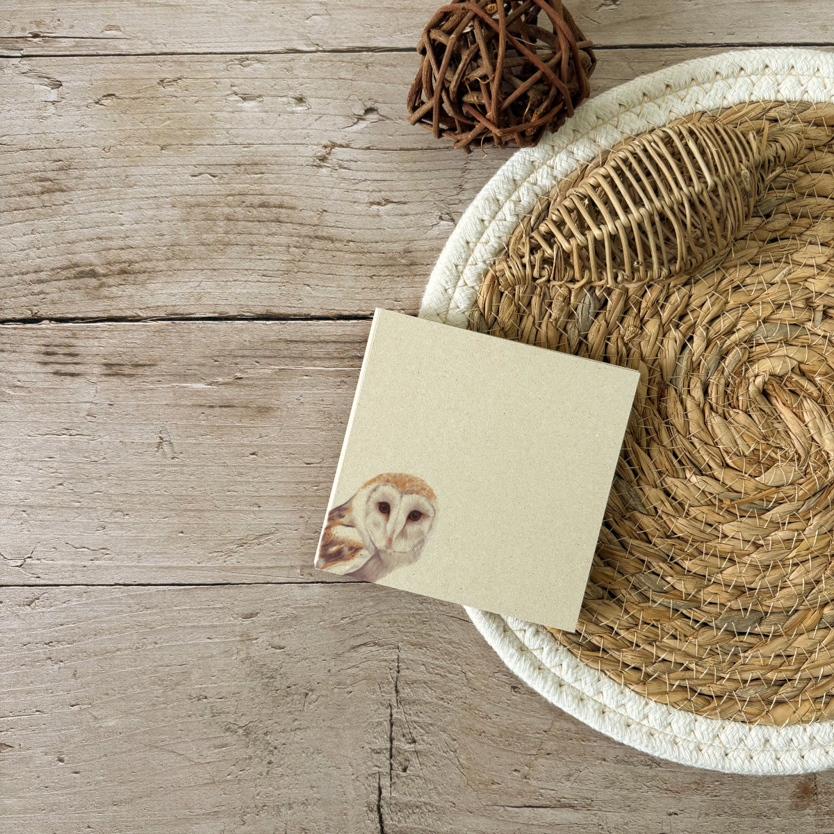 Memo pad | Barn Owl