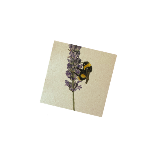 Memoblok | Hommel op bloem