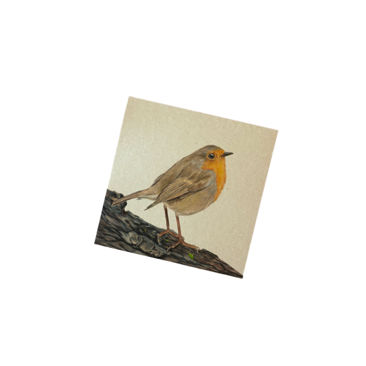 Memoblok | Roodborstje