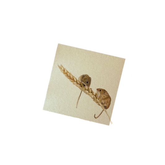 Memoblok | Veldmuizen