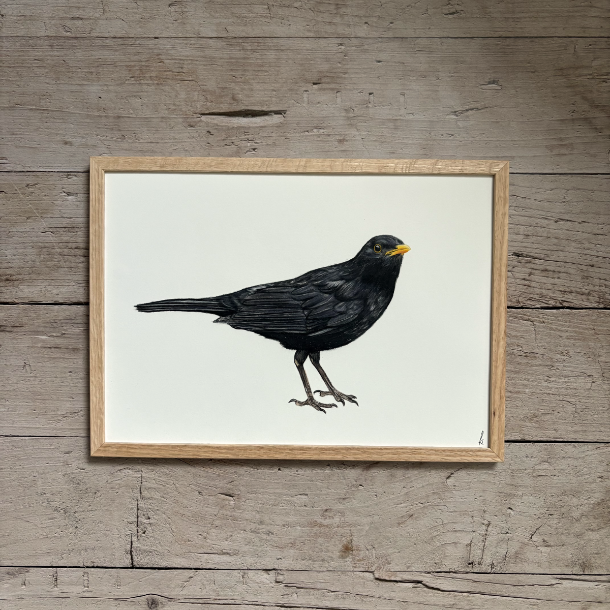 Originele tekening | Merel