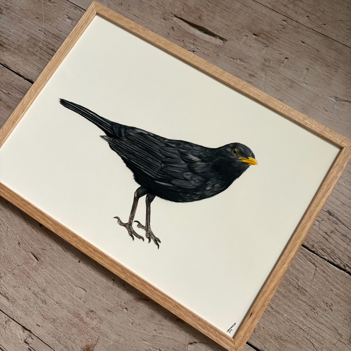 Originele tekening | Merel