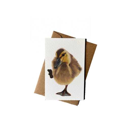 Wholesale | Mini kaartje | Eendje