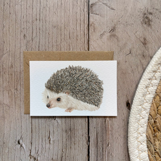 Mini cards | Hedgehog