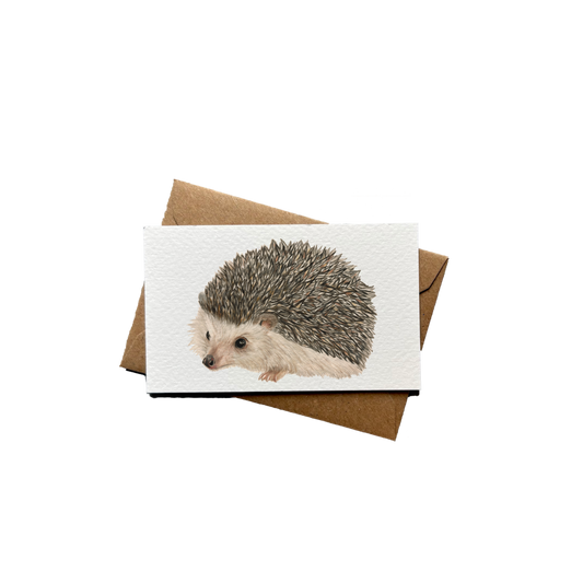 Wholesale | Mini kaartje | Egel