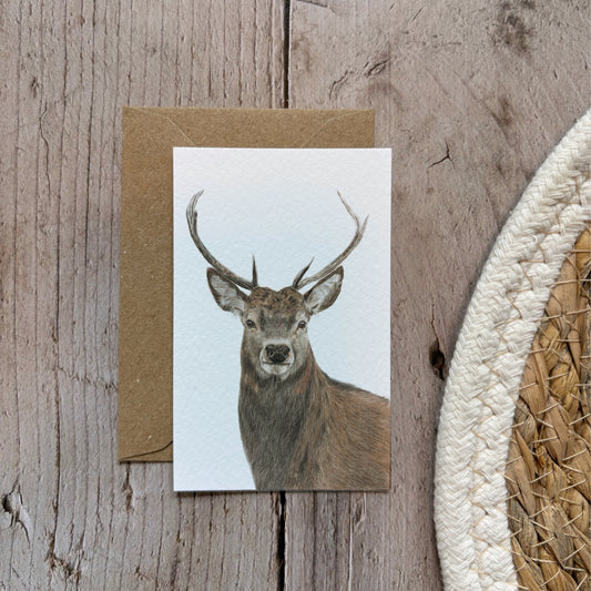 Mini cards | Stag