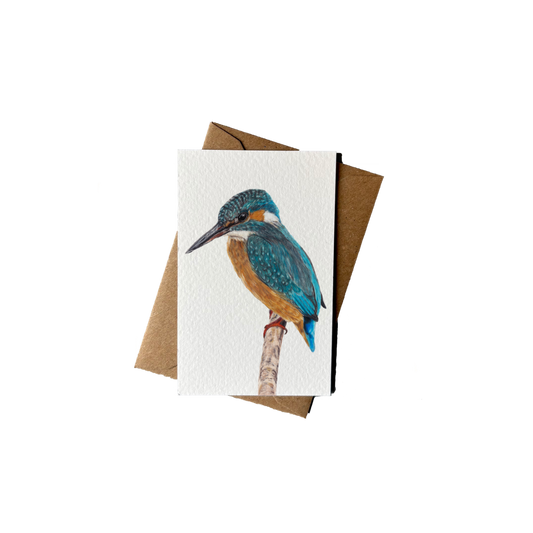 Wholesale | Mini kaartje | IJsvogel