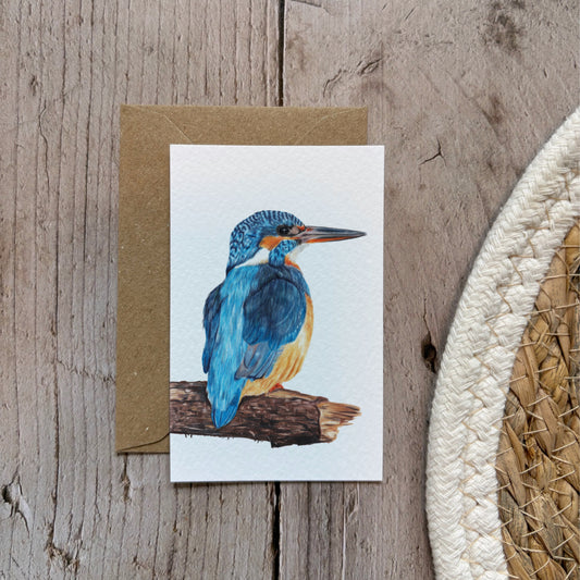 Mini cards | Kingfisher