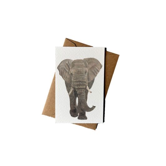 Wholesale | Mini kaartje | Olifant