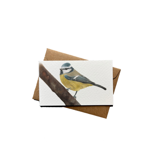 Wholesale | Mini kaartje | Pimpelmees