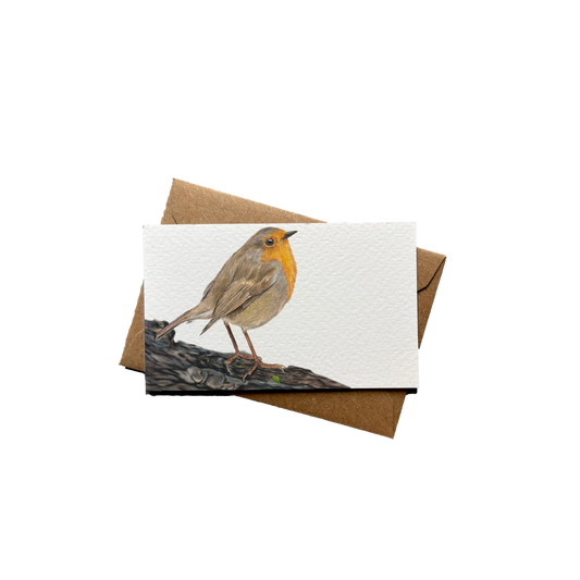 Wholesale | Mini kaartje | Roodborstje