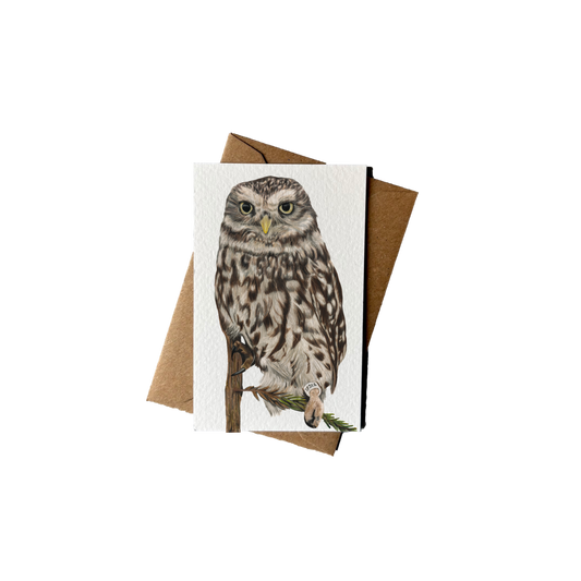 Wholesale | Mini kaartje | Steenuil