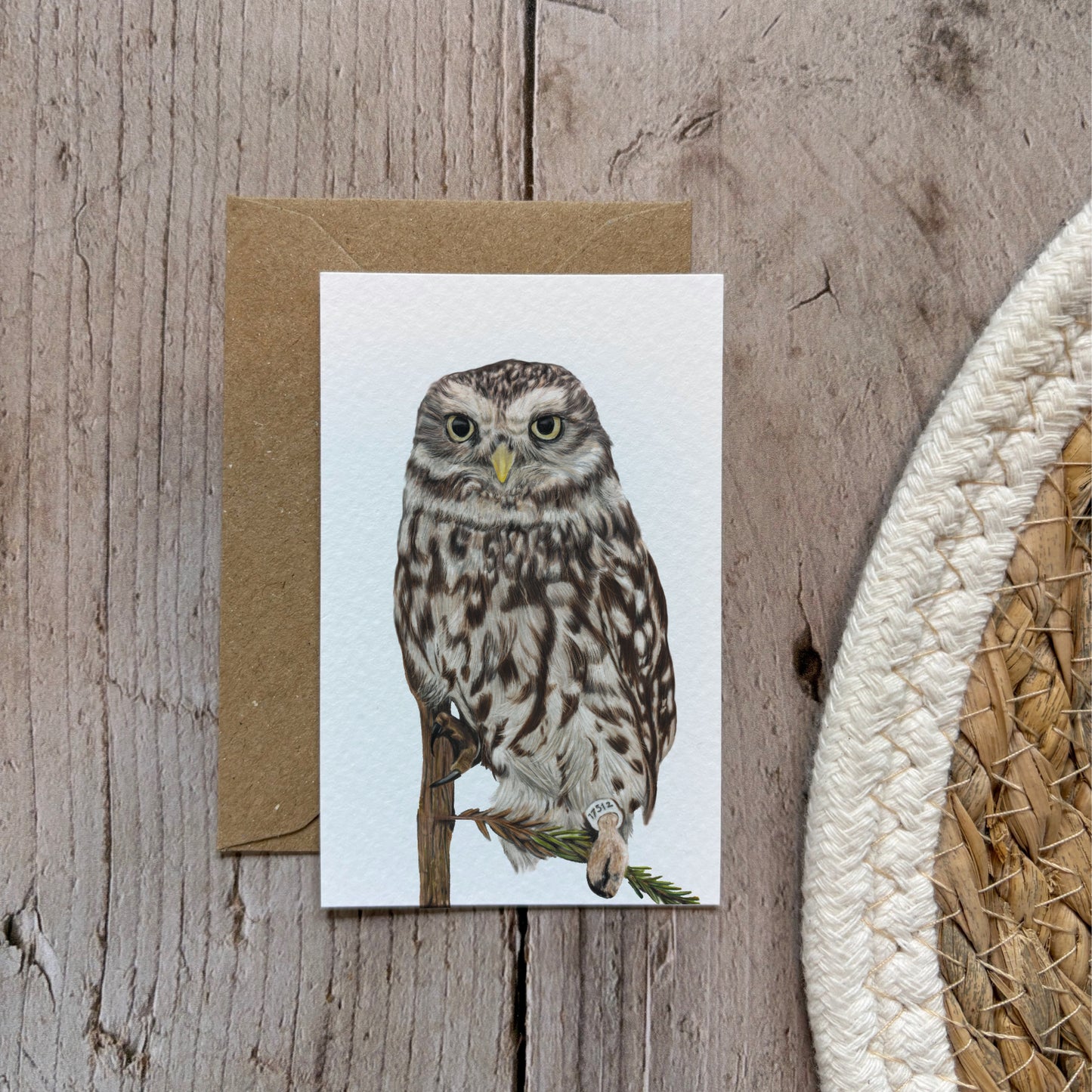 Mini cards | Little owl